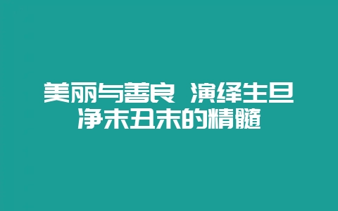 美丽与善良 演绎生旦净末丑末的精髓-会东网