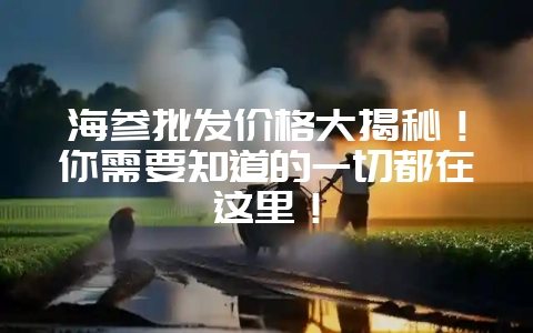 海参批发价格大揭秘！你需要知道的一切都在这里！-会东网