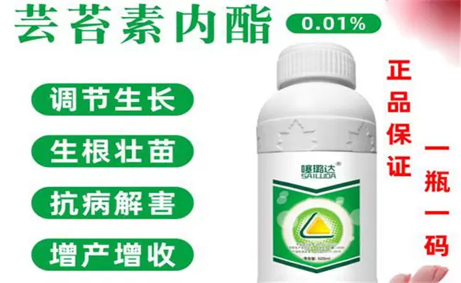 黄瓜有哪些生长调节剂 黄瓜如何使用生长调节剂-会东网