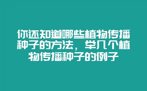你还知道哪些植物传播种子的方法,举几个植物传播种子的例子-会东网