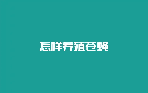 怎样养殖苍蝇-会东网