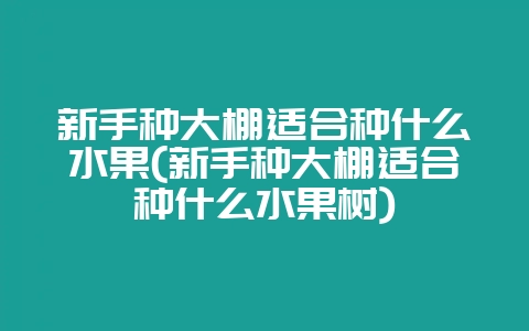 新手种大棚适合种什么水果(新手种大棚适合种什么水果树)-会东网