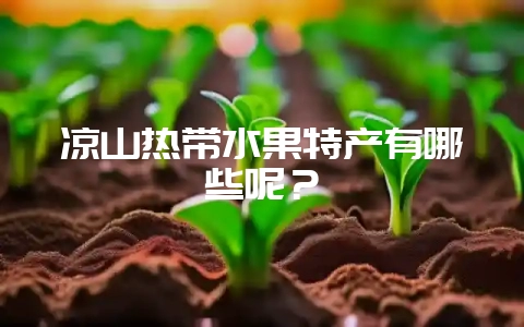 凉山热带水果特产有哪些呢？-会东网