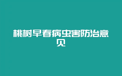 桃树早春病虫害防治意见-会东网