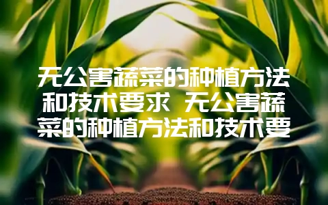 无公害蔬菜的种植方法和技术要求 无公害蔬菜的种植方法和技术要求有哪些-会东网