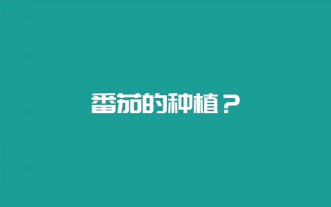 番茄的种植?-会东网