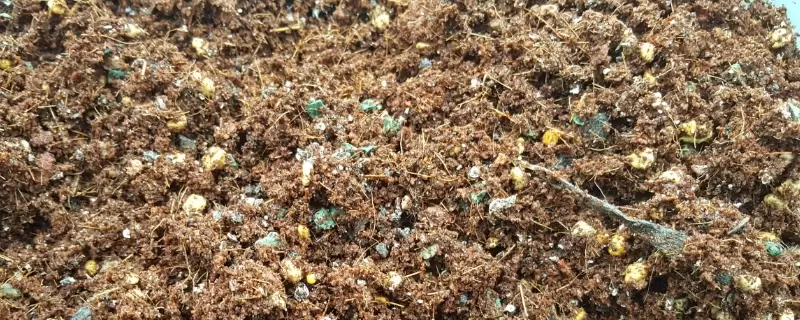 花生壳直接拌土养花可以吗-会东网