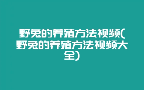野兔的养殖方法视频(野兔的养殖方法视频大全)-会东网