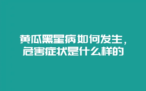 黄瓜黑星病如何发生，危害症状是什么样的-会东网
