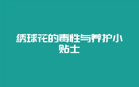 绣球花的毒性与养护小贴士-会东网
