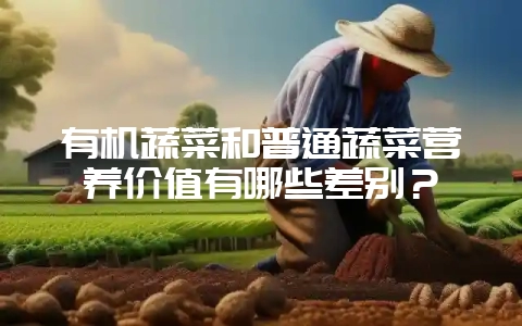 有机蔬菜和普通蔬菜营养价值有哪些差别？-会东网
