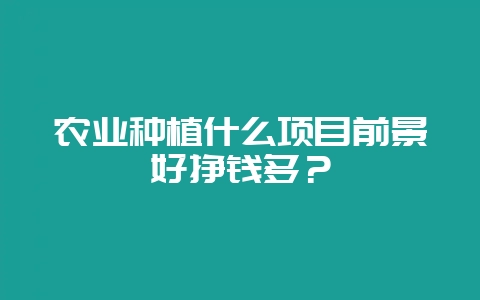 农业种植什么项目前景好挣钱多？-会东网