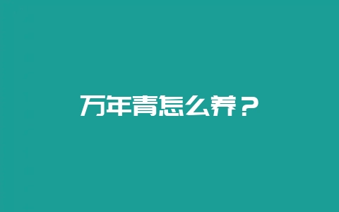 万年青怎么养？-会东网