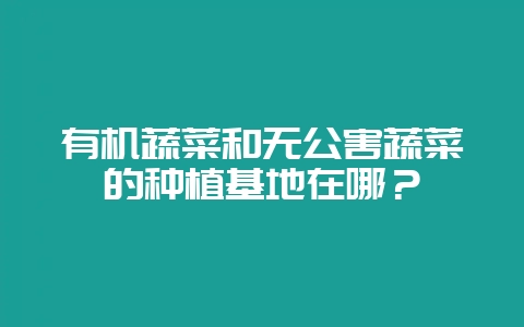 有机蔬菜和无公害蔬菜的种植基地在哪？-会东网