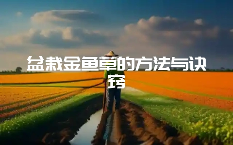 盆栽金鱼草的方法与诀窍-会东网