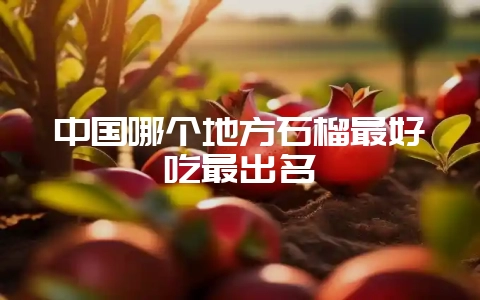 中国哪个地方石榴最好吃最出名插图 中国哪个地方石榴最好吃最出名插图