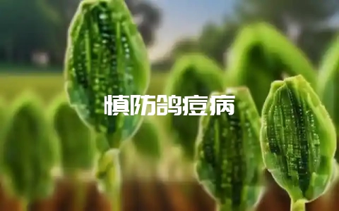 慎防鸽痘病-会东网