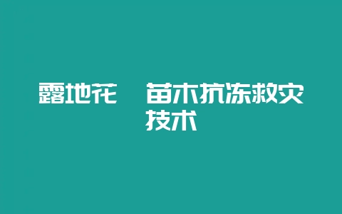 露地花卉苗木抗冻救灾技术-会东网