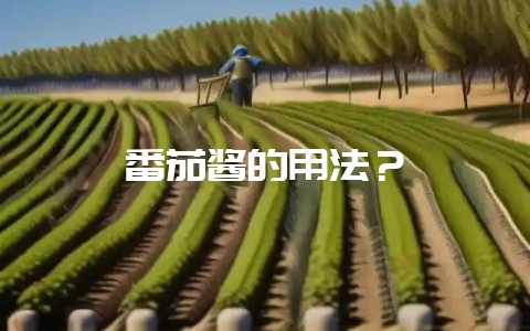 番茄酱的用法?-会东网