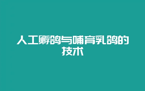 人工孵鸽与哺育乳鸽的技术-会东网