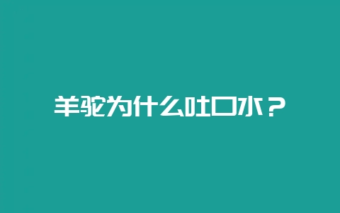 羊驼为什么吐口水?插图 羊驼为什么吐口水?插图