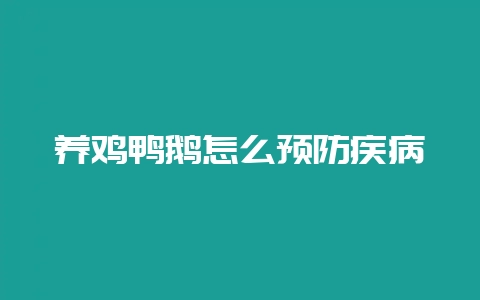 养鸡鸭鹅怎么预防疾病-会东网