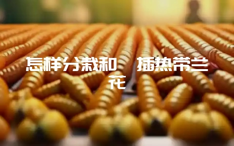 怎样分栽和扦插热带兰花-会东网