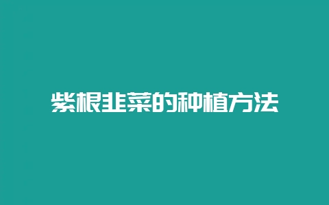 紫根韭菜的种植方法-会东网