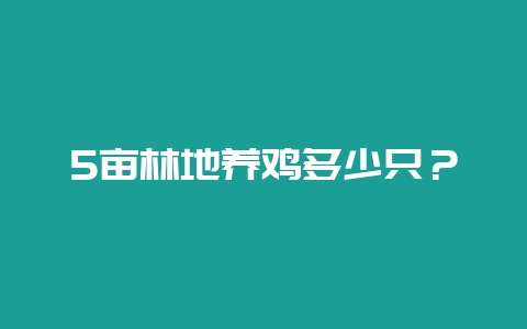 5亩林地养鸡多少只?-会东网
