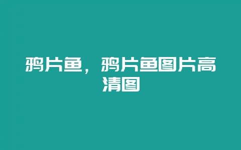 鸦片鱼,鸦片鱼图片高清图-会东网