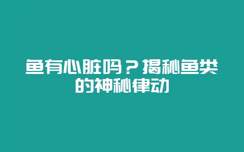 鱼有心脏吗？揭秘鱼类的神秘律动-会东网