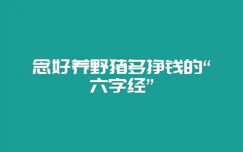 念好养野猪多挣钱的“六字经”-会东网
