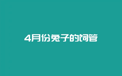 4月份兔子的饲管-会东网