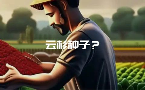 云杉种子?插图 云杉种子?插图
