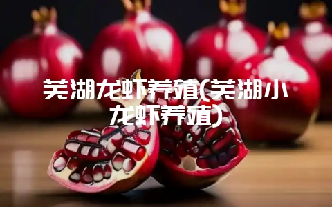 芜湖龙虾养殖(芜湖小龙虾养殖)-会东网