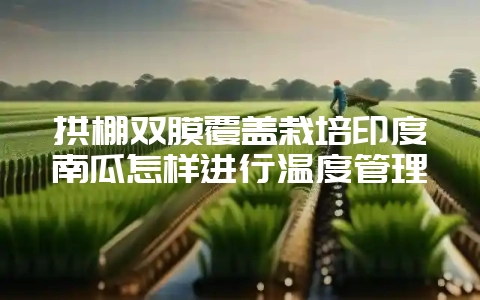 拱棚双膜覆盖栽培印度南瓜怎样进行温度管理-会东网