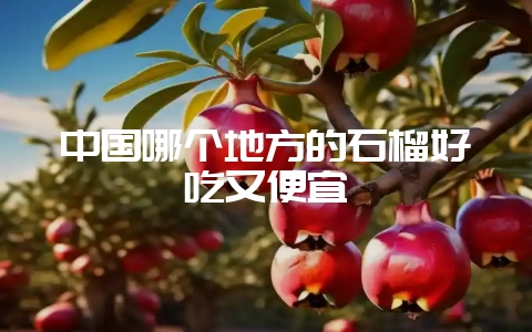 中国哪个地方的石榴好吃又便宜插图 中国哪个地方的石榴好吃又便宜插图