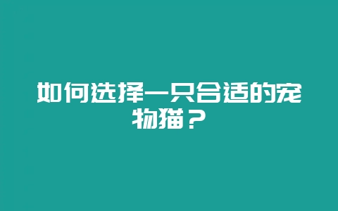 如何选择一只合适的宠物猫？-会东网