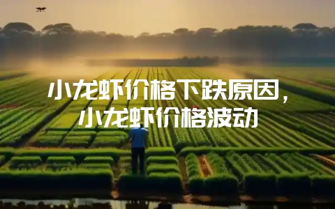 小龙虾价格下跌原因，小龙虾价格波动-会东网