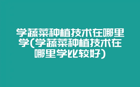 学蔬菜种植技术在哪里学(学蔬菜种植技术在哪里学比较好)-会东网