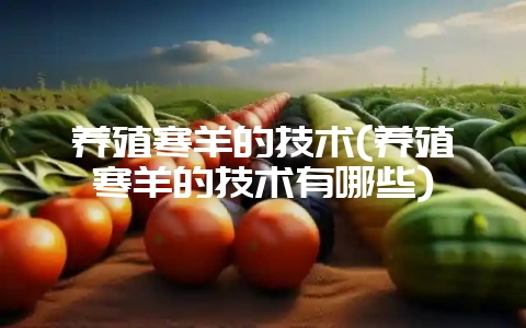 养殖寒羊的技术(养殖寒羊的技术有哪些)-会东网