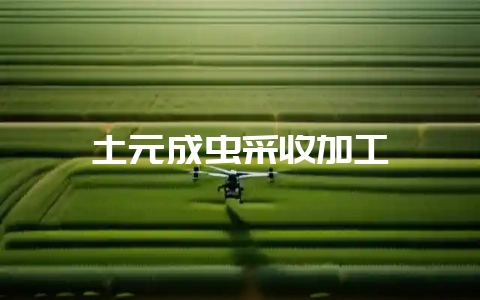 土元成虫采收加工-会东网