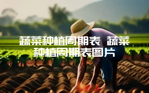 蔬菜种植周期表 蔬菜种植周期表图片-会东网