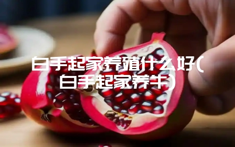 白手起家养殖什么好(白手起家养牛)-会东网