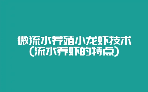 微流水养殖小龙虾技术(流水养虾的特点)-会东网