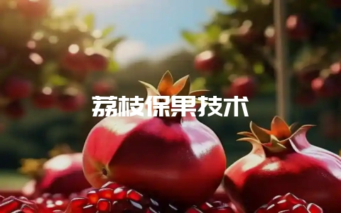 荔枝保果技术-会东网