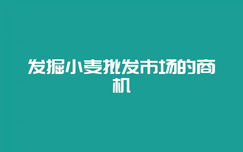发掘小麦批发市场的商机-会东网