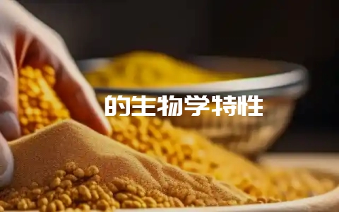 貉的生物学特性-会东网