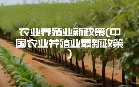 农业养殖业新政策(中国农业养殖业最新政策)-会东网