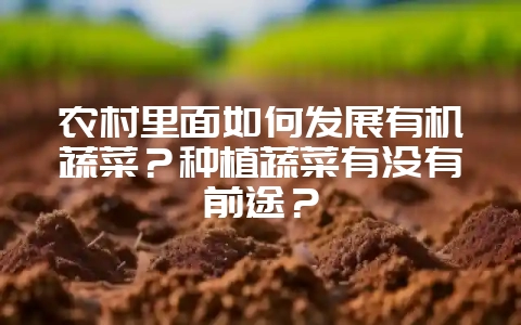 农村里面如何发展有机蔬菜？种植蔬菜有没有前途？-会东网